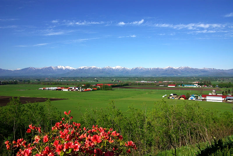 ▲ 北海道十胜平原农场